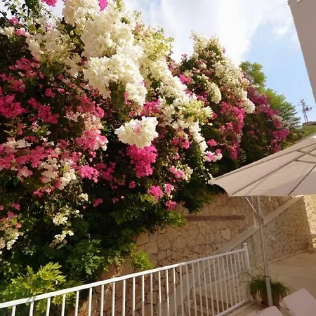 White Suites Xi Willa